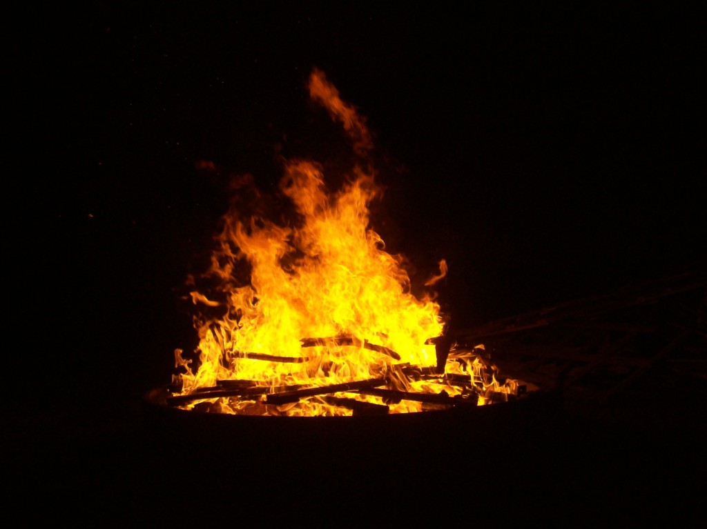 Neudenau 2010 018.jpg